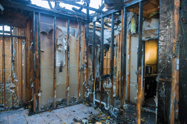 Professional Soot Cleanup technician working in Moville, IA